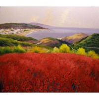 Coastal Poppy Field No.1
