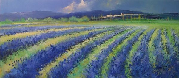 Lavender Fields No.1