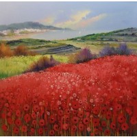 Coastal Red Poppies No.1