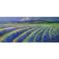 Lavender Fields No.1