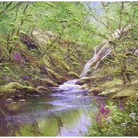 Woodland Waterfall No.1