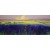 Fields of Blue No.1
